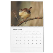 Wildlife Calendar, Songbirds, Wild Birds Kalender (Feb 2026)