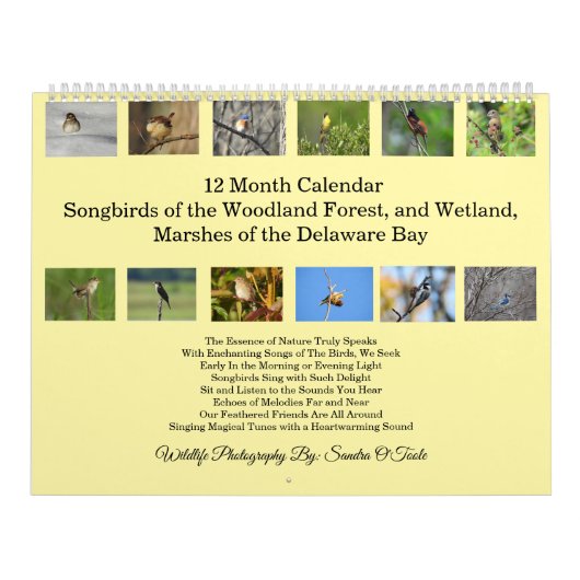Wildlife Calendar, Songbirds, Wild Birds Kalender (Hoes)