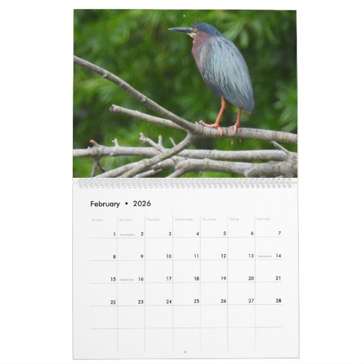 Wildlife Calendar, Waterbirds, Herons Kalender (Feb 2026)