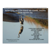 Wildlife Calendar, Waterbirds, Herons Kalender (Hoes)