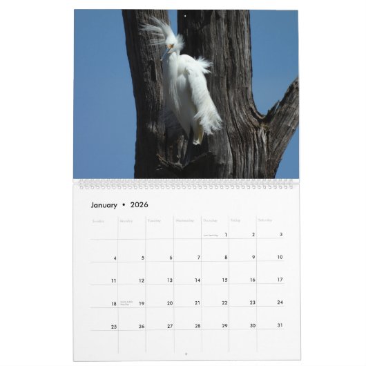 Wildlife Calendar, Waterbirds, Herons Kalender (Jan 2026)