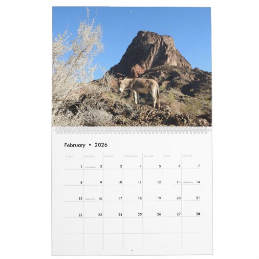 Wildlife Calendar, wild donkeys, burros, desert Kalender (Feb 2026)