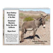 Wildlife Calendar, wild donkeys, burros, desert
