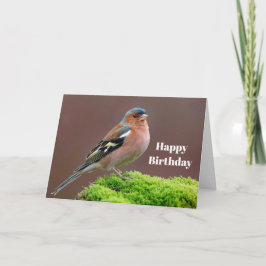 Wildlife Chaffinch Foto Verjaardag Kaart