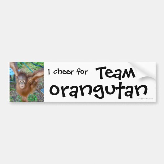 Wildlife Cheerleader : Team Orangutan Bumpersticker (Voorkant)
