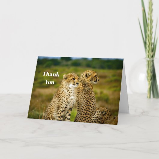Wildlife Cheetah Foto Bedankkaart (Voorkant)