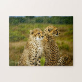 Wildlife Cheetah Foto Legpuzzel (Horizontaal)