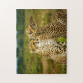 Wildlife Cheetah Foto Legpuzzel (Verticaal)