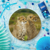 Wildlife Cheetah Foto Papieren Bordje (Feest)