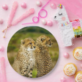 Wildlife Cheetah Foto Papieren Bordje (Feest)