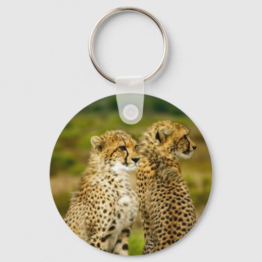 Wildlife Cheetah Foto Sleutelhanger (Voorkant)
