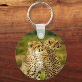 Wildlife Cheetah Foto Sleutelhanger (Voorkant)