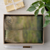 Wildlife Cheetah Foto Tissuepapier (Geschenk)