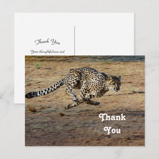 Wildlife Cheetah Hardloopfoto Dank u Briefkaart (Voorkant / Achterkant)