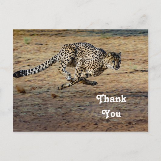 Wildlife Cheetah Hardloopfoto Dank u Briefkaart (Voorkant)