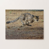 Wildlife Cheetah Running Photo Legpuzzel (Horizontaal)