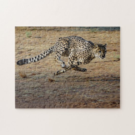 Wildlife Cheetah Running Photo Legpuzzel (Horizontaal)
