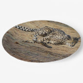 Wildlife Cheetah Running Photo Papieren Bordje (Gekanteld)