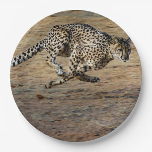 Wildlife Cheetah Running Photo Papieren Bordje