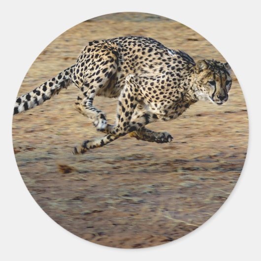Wildlife Cheetah Running Photo Ronde Sticker (Voorkant)