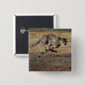 Wildlife Cheetah Running Photo Vierkante Button 5,1 Cm (Voorkant /achterkant)