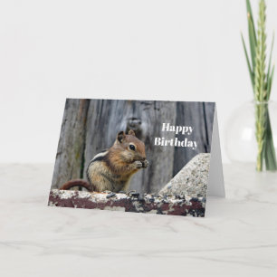 Wildlife Chipmunk Animal Photo Birthday Kaart