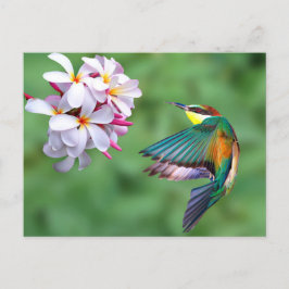 Wildlife Colorful Bee Eater Floral Foto Briefkaart