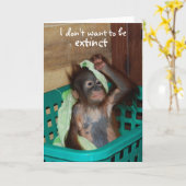 Wildlife Conservation Grumpy Baby Kaart (Gele Bloem)