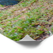 Wildlife Conservation/Litter and Trash Poster (Hoek)