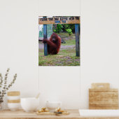 Wildlife Conservation/Litter and Trash Poster (Keuken)