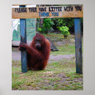 Wildlife Conservation/Litter and Trash Poster