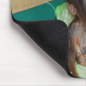 Wildlife Conservation Pouty Baby Muismat (Hoek)