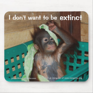 Wildlife Conservation Pouty Baby Muismat