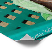 Wildlife Conservation Pouty Baby Poster (Hoek)