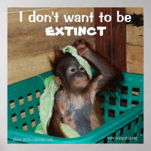 Wildlife Conservation Pouty Baby Poster