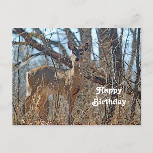 Wildlife Deer Bossen Foto Birthday Briefkaart (Voorkant)
