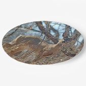 Wildlife Deer Bossen Foto Papieren Bordje (Gekanteld)