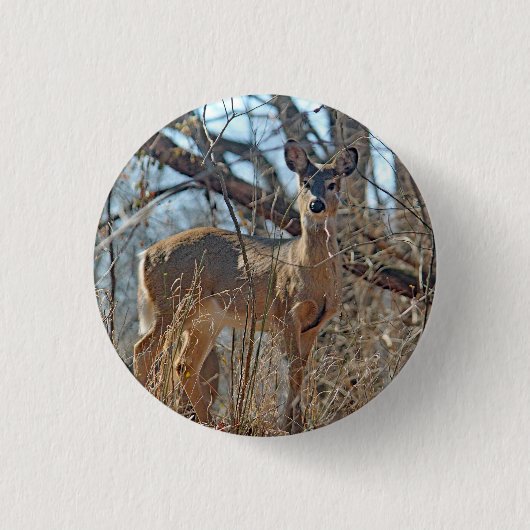 Wildlife Deer Bossen Foto Ronde Button 3,2 Cm (Voorkant)