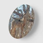 Wildlife Deer Bossen Foto Ronde Klok (Hoek)