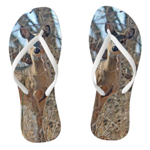 Wildlife Deer Bossen Foto Teenslippers