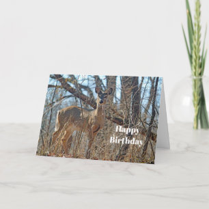 Wildlife Deer Bossen Foto van Birthday Kaart