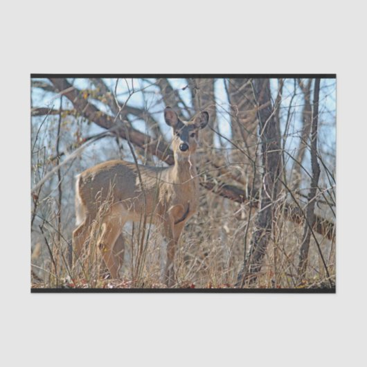 Wildlife Deer Bossen Tissuepapier (Voorkant)
