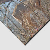 Wildlife Deer Bossen Tissuepapier (Detail)