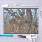 Wildlife Deer Bossen Tissuepapier (Craft)