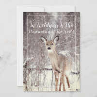 Wildlife Deer tijdens de wintervakantie