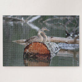 Wildlife Eend Foto Legpuzzel