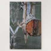 Wildlife Eend Foto Legpuzzel (Verticaal)