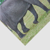 Wildlife Elephant Calf Foto Tissuepapier (Detail)