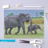 Wildlife Elephant Calf Foto Tissuepapier (Craft)