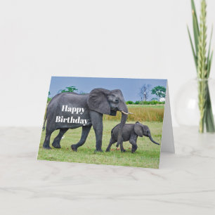 Wildlife Elephant Calf Foto Verjaardag Kaart